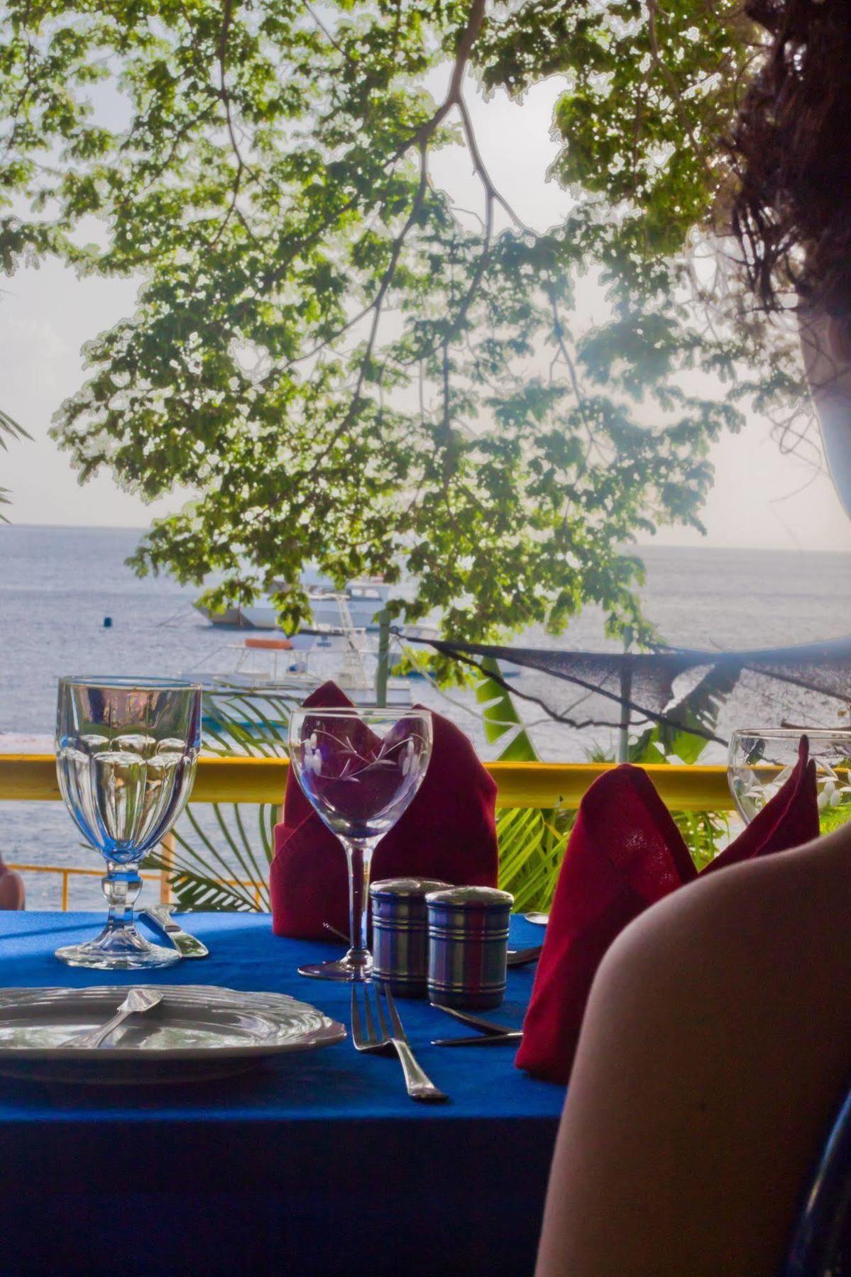 Castle Comfort Lodge Roseau Luaran gambar